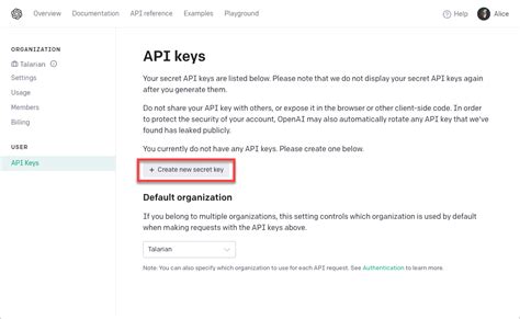 how to get access to celia's computer|OpenAI GPT.
